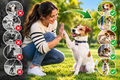 Perro Obediente en 15 dias